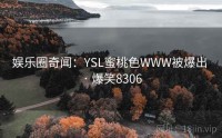 娱乐圈奇闻：YSL蜜桃色WWW被爆出 · 爆笑8306