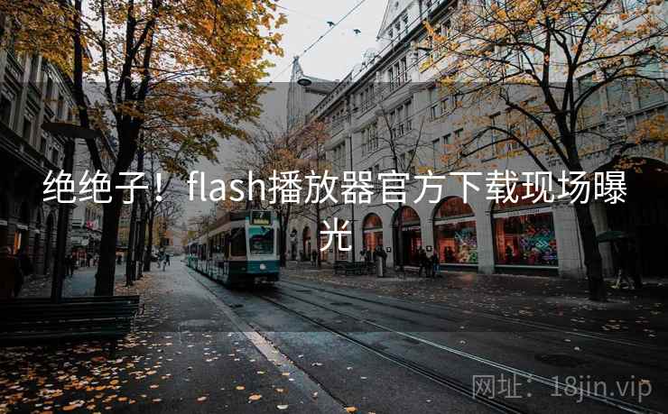 绝绝子！flash播放器官方下载现场曝光