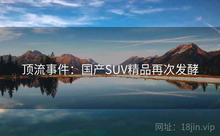 顶流事件：国产SUV精品再次发酵